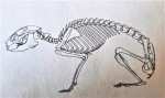 La preistoria