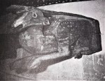 ICONOGRAFIA NEL BESTIARIO MEDIEVALE